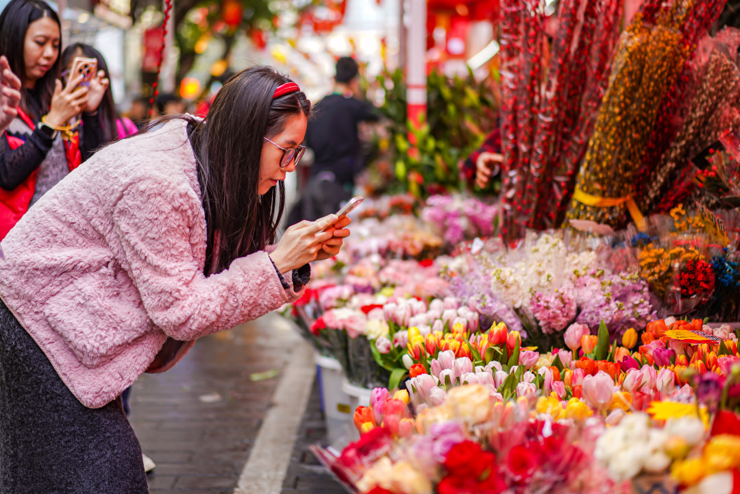 在花市摊档上颜值高的鲜花很吸引镜头。