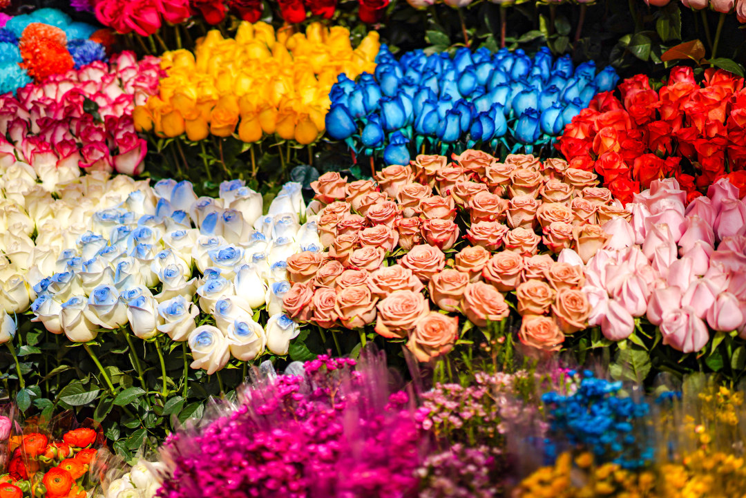 花市上五彩斑斓的鲜花。