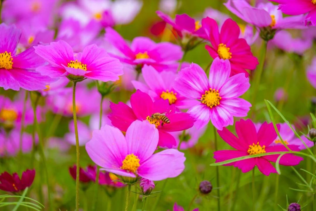 微信图片_2026-02-14_125157_643