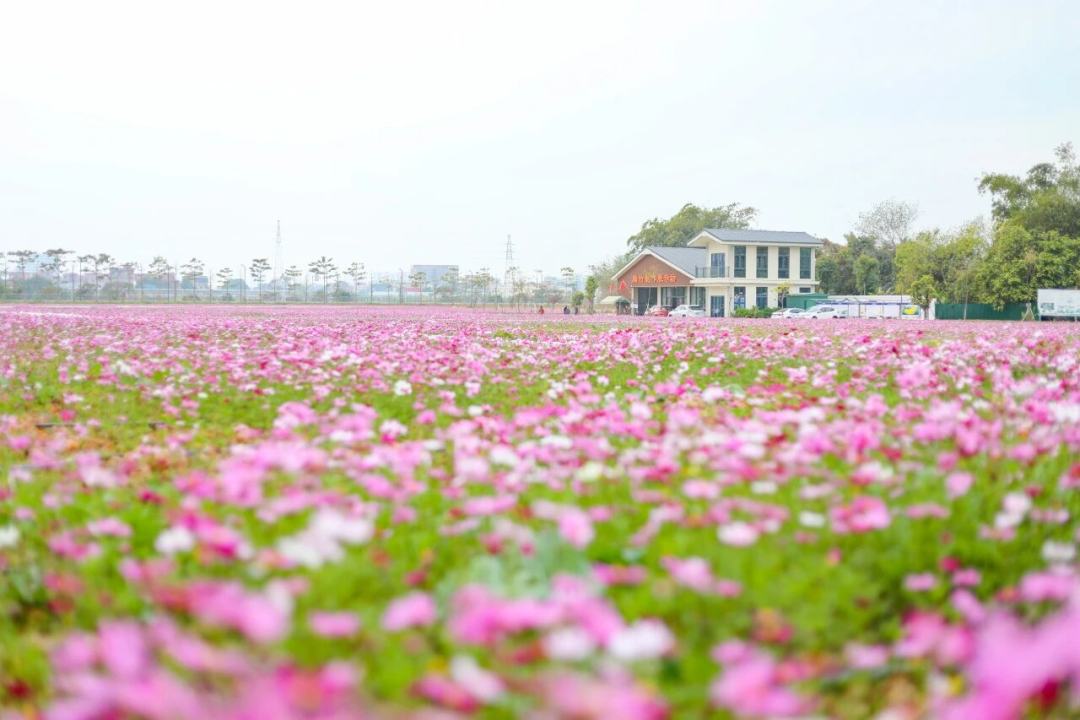 微信图片_2026-02-14_125255_360