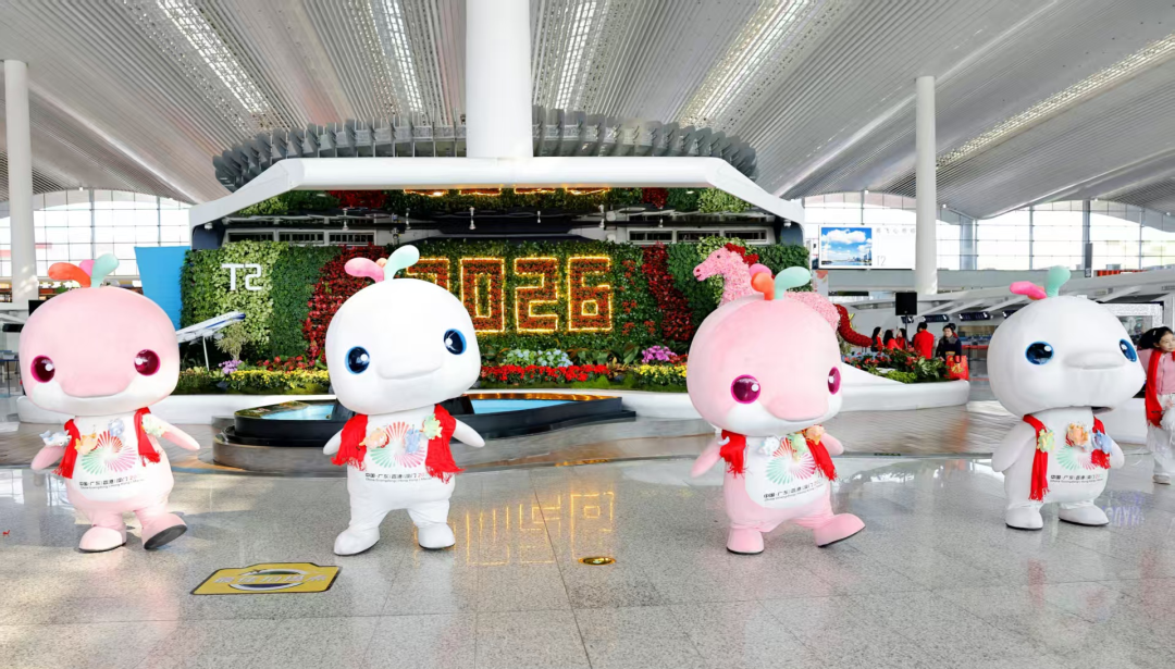 微信图片_20260214172947_160_6