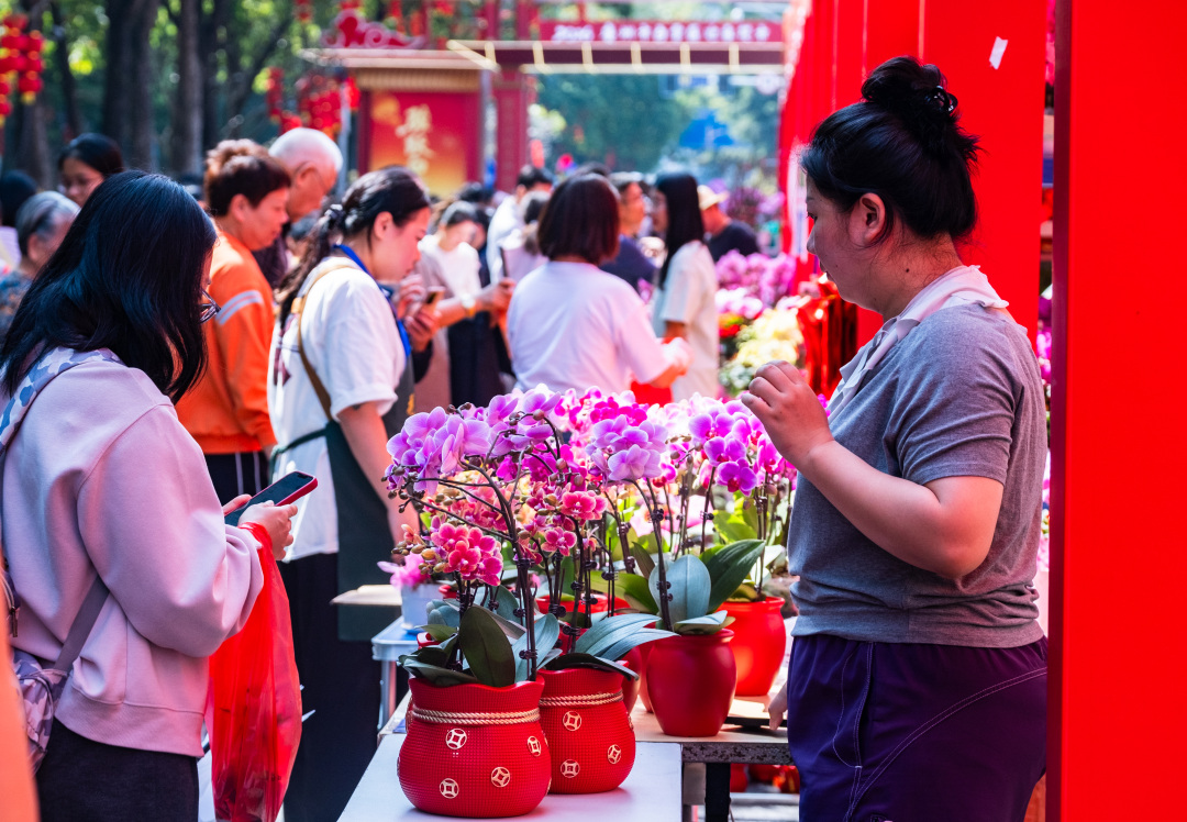 醒狮欢腾,机器马助兴!2月14日,2026年广州白云传统迎春花市在白云万达广场欢乐开锣。为期三天时间里,市民游客不仅可穿梭在繁花似锦的石马“桃花林”,与现象级IP“大湾鸡”与《嘉禾望岗》打卡点合影,每天还能欣赏到“天马行空”酷炫SHOW,更有超多互动福袋抽取。一起来逛白云花市,在翰墨芬芳与科技光影中感受“马上生财”“马上有福”的吉祥年味。文/广州日报新花城记者:汤南 通讯员:易鹏、卢楚涵、白雪
图/广州日报新花城记者:庄小龙