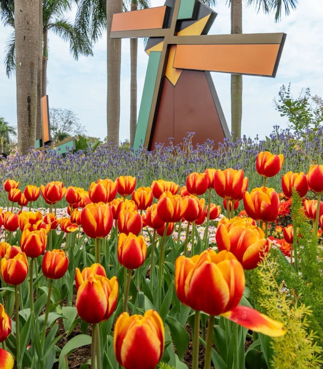 广州日报新花城记者刘宇 广州日报新花城记者刘宇