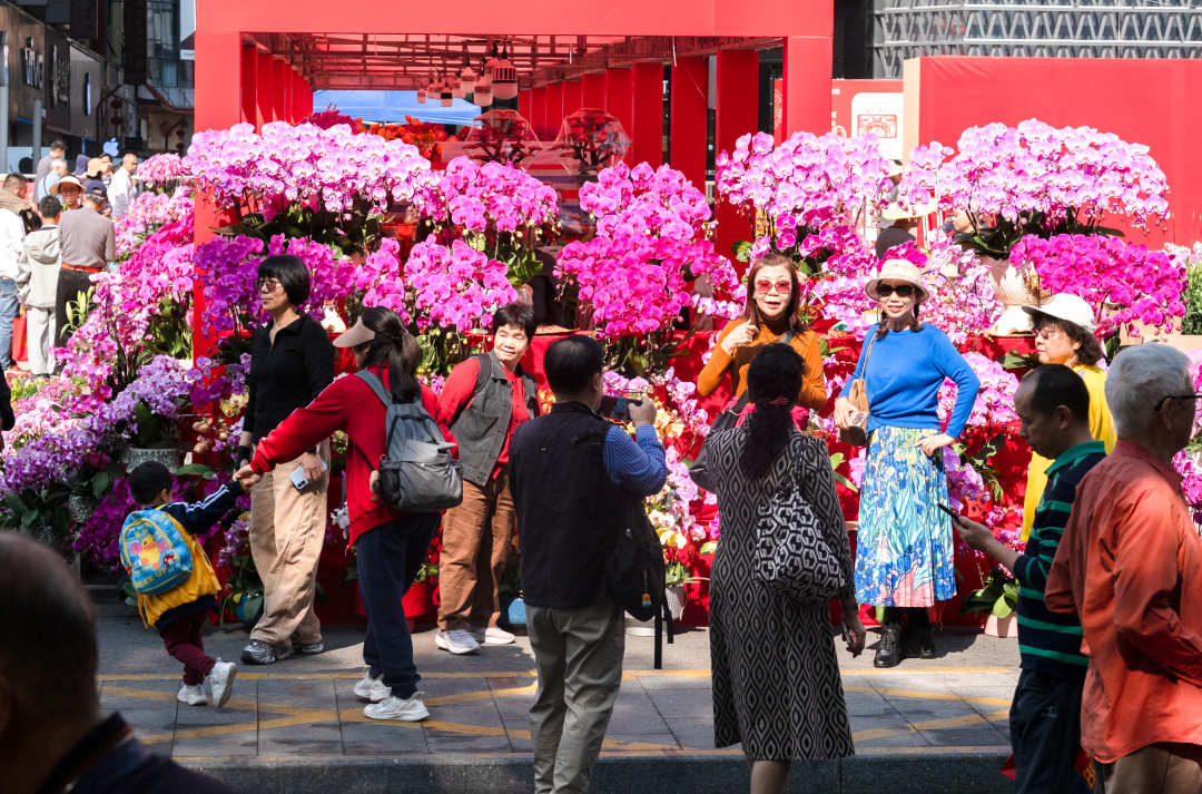 醒狮欢腾,机器马助兴!2月14日,2026年广州白云传统迎春花市在白云万达广场欢乐开锣。为期三天时间里,市民游客不仅可穿梭在繁花似锦的石马“桃花林”,与现象级IP“大湾鸡”与《嘉禾望岗》打卡点合影,每天还能欣赏到“天马行空”酷炫SHOW,更有超多互动福袋抽取。一起来逛白云花市,在翰墨芬芳与科技光影中感受“马上生财”“马上有福”的吉祥年味。文/广州日报新花城记者:汤南 通讯员:易鹏、卢楚涵、白雪
图/广州日报新花城记者:庄小龙