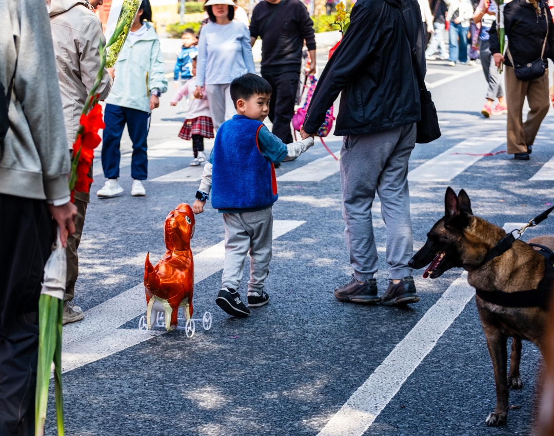 醒狮欢腾,机器马助兴!2月14日,2026年广州白云传统迎春花市在白云万达广场欢乐开锣。为期三天时间里,市民游客不仅可穿梭在繁花似锦的石马“桃花林”,与现象级IP“大湾鸡”与《嘉禾望岗》打卡点合影,每天还能欣赏到“天马行空”酷炫SHOW,更有超多互动福袋抽取。一起来逛白云花市,在翰墨芬芳与科技光影中感受“马上生财”“马上有福”的吉祥年味。文/广州日报新花城记者:汤南 通讯员:易鹏、卢楚涵、白雪
图/广州日报新花城记者:庄小龙