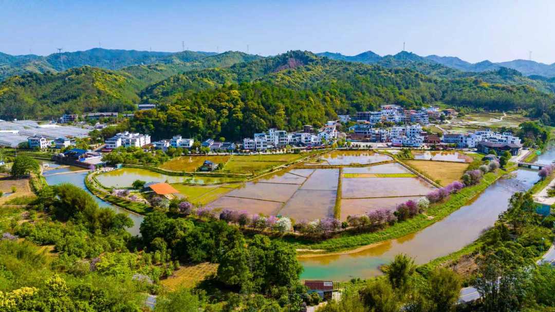 微信图片_20260216081846_15_3882