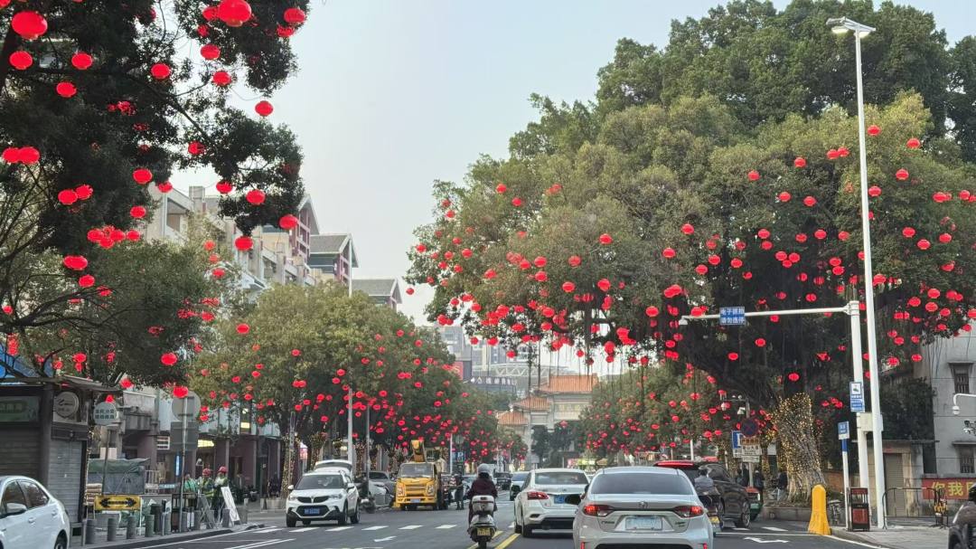 西樵登山大道焕然一新,崭新路面平整畅行,大红灯笼高高挂起。