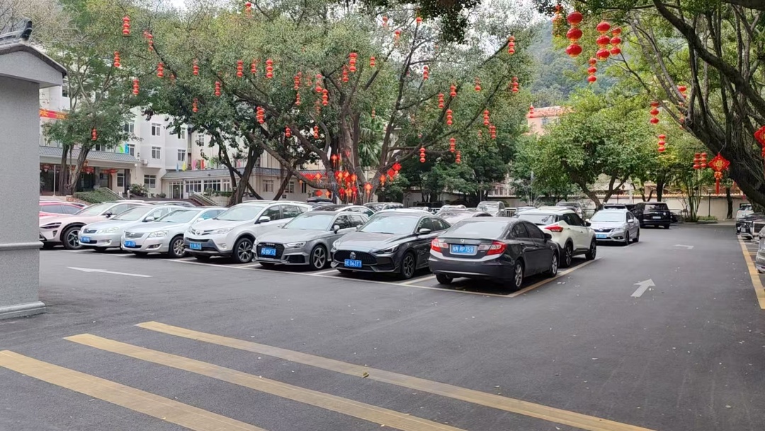 西樵政府大院敞门迎客,提供免费停车、免费洗手间,让市民群众沉浸式感受岭南新春年味,一站式品鉴樵山特色好物。3