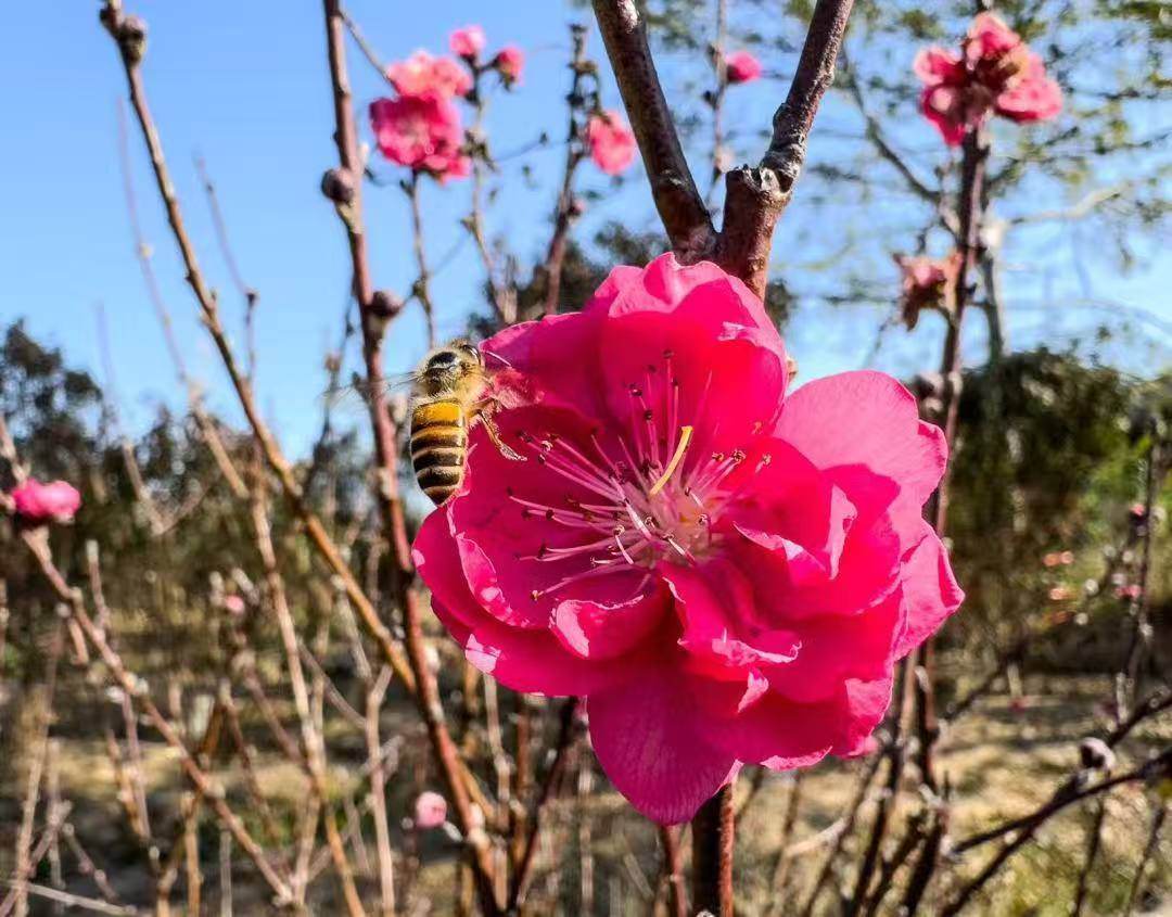 5e18e03e2eaa600ba6aef895d7c5f627