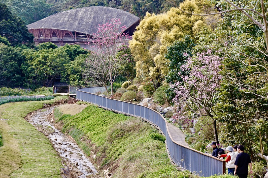 天气 _ 春节将至,景区园林美如画