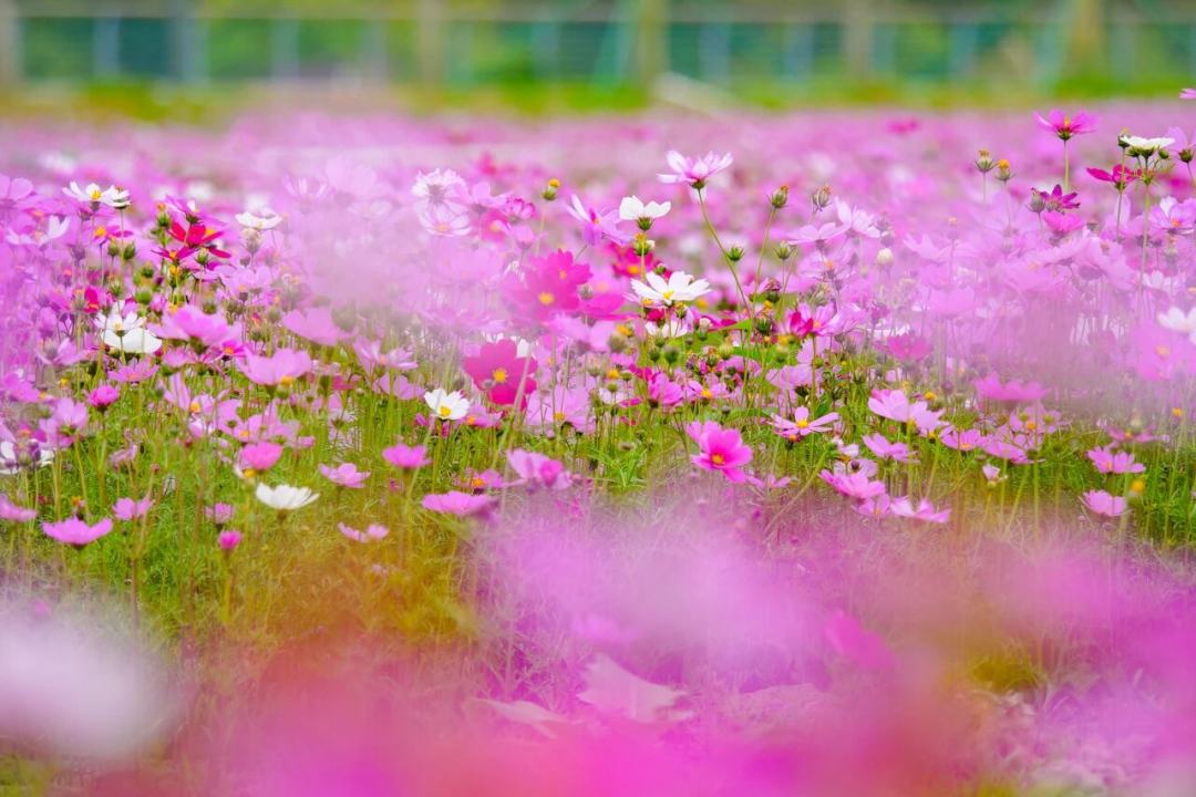 微信图片_2026-02-24_141313_624