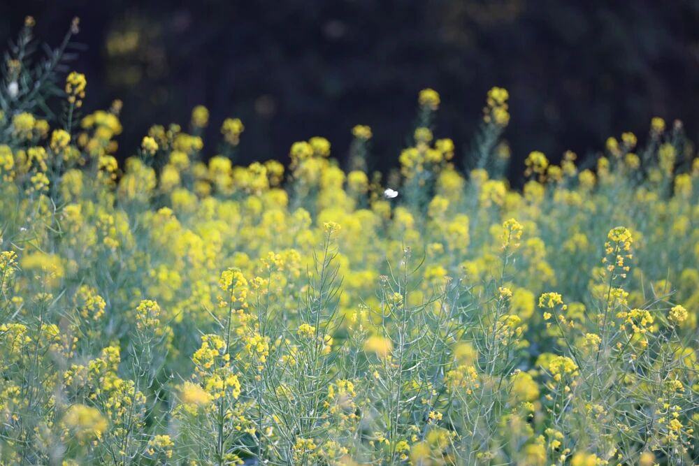 微信图片_2026-02-24_141342_082