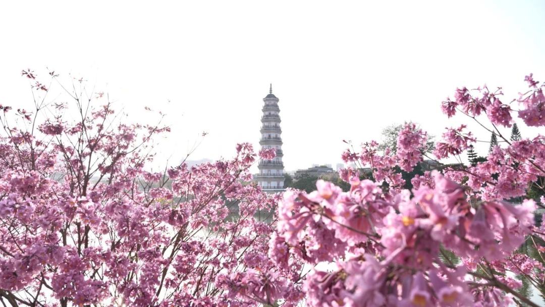 微信图片_2026-02-24_141432_910