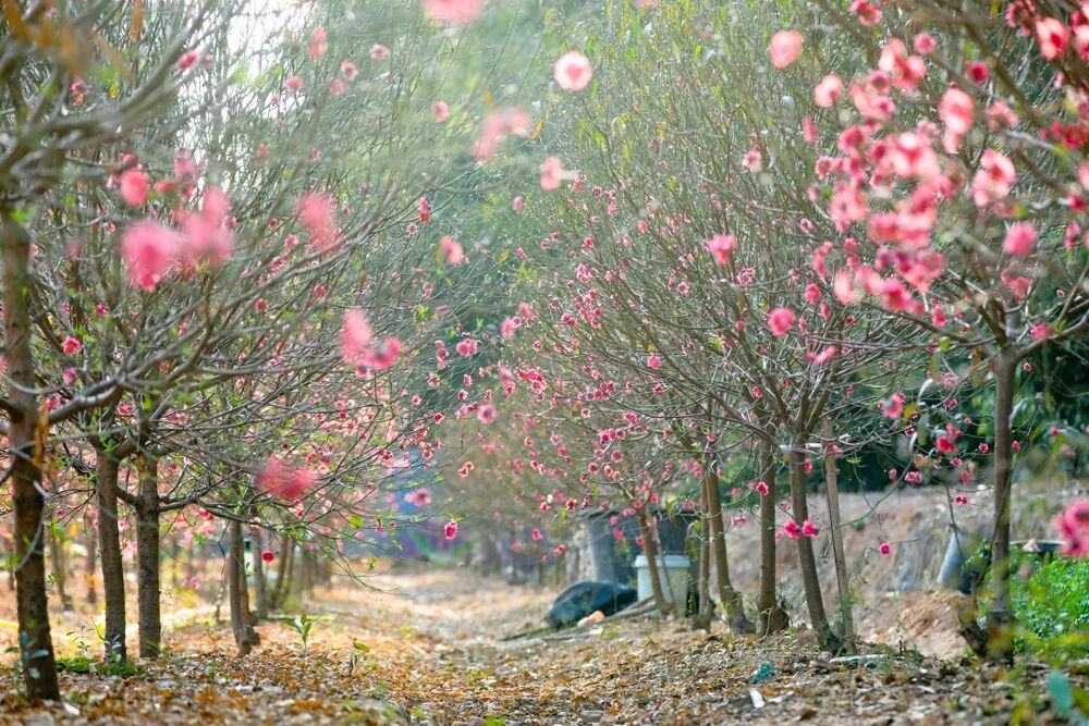 微信图片_2026-02-24_141507_797