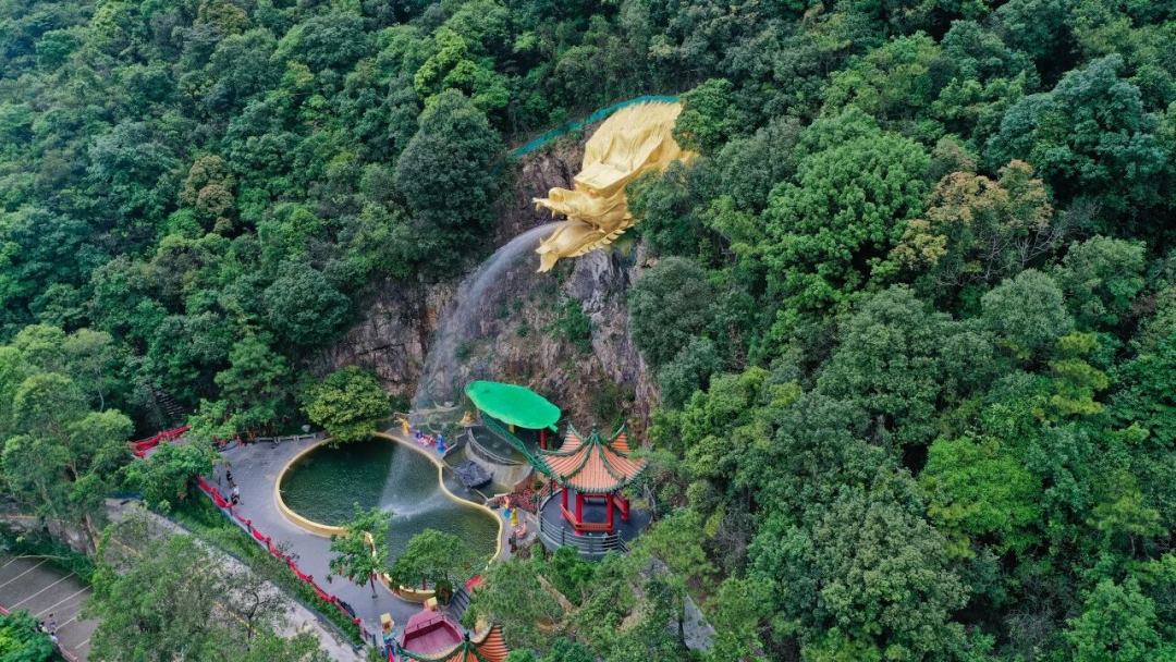 微信图片_2026-02-24_154252_295