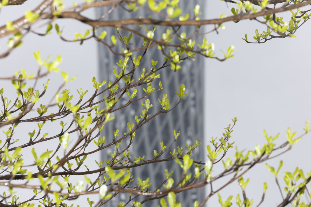 陈忧子20250305下雨天 雾霾天 (13)