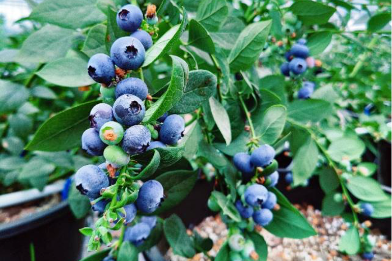 1772267803262064036.png 1772267803262064036.png