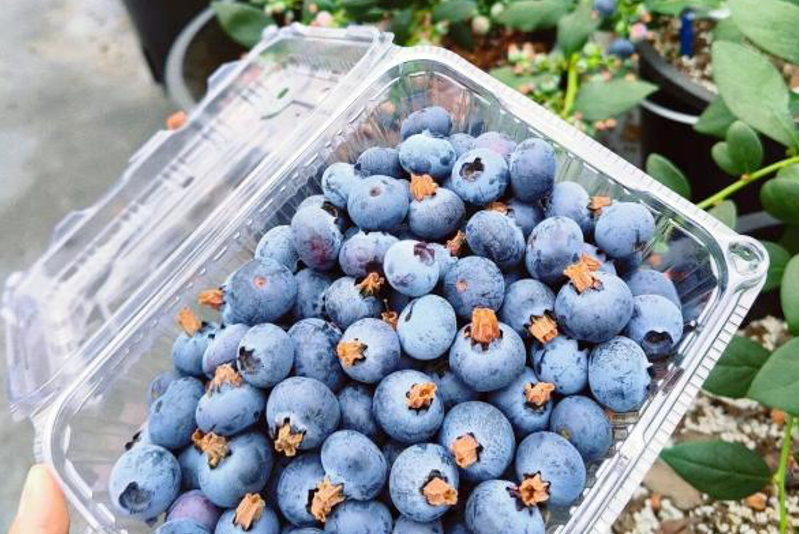 1772267804441030004.png 1772267804441030004.png