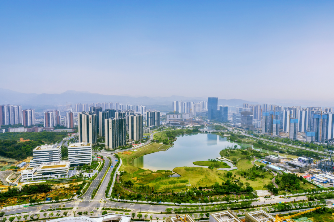 中新广州知识城。 图 广州日报·新花城记者:杨耀烨 通讯员 李剑锋