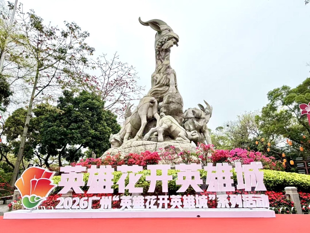 c8503f5e96b9dd78b9e769021a52bb15