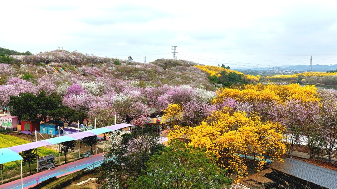 微信图片_20260228083650_1104_103