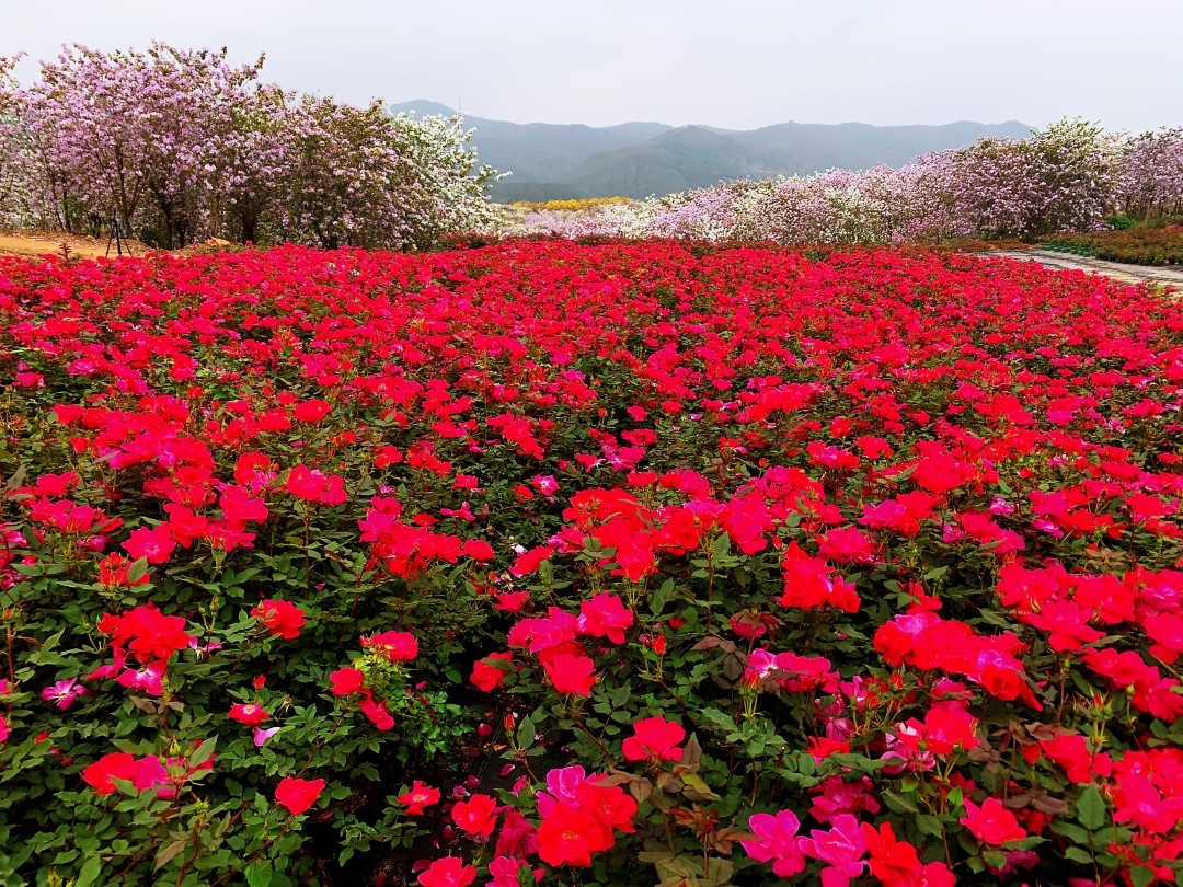 微信图片_20260227221708_811_20