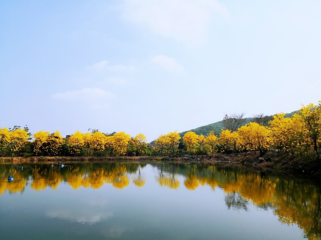 微信图片_20260227221711_814_20