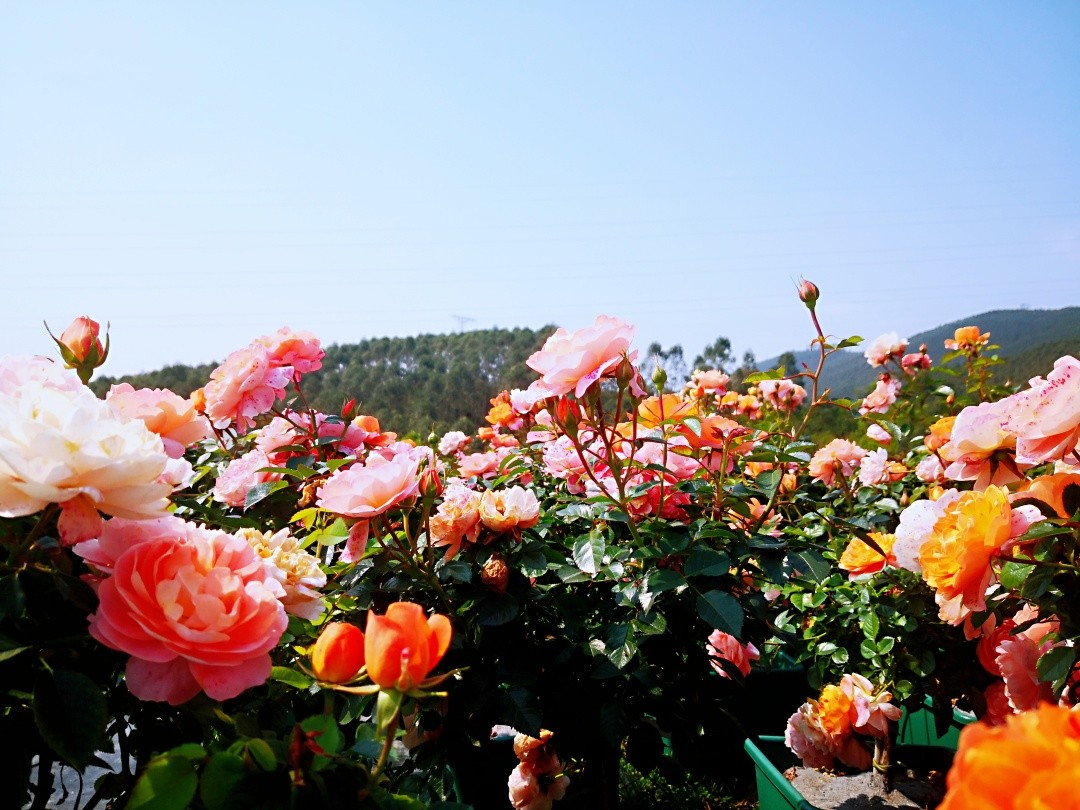 微信图片_20260227221710_813_20