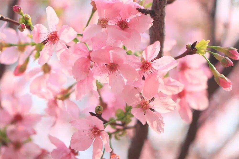 Weixin Image_2026-03-02_111431_804