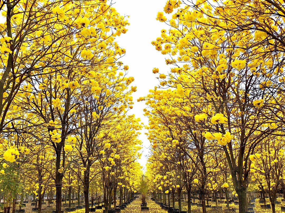 微信图片_20260227220401_806_20