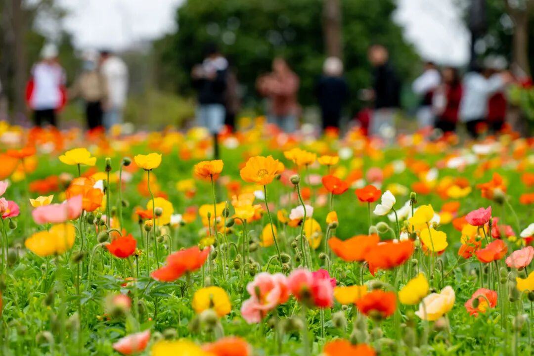 Weixin Image_2026-03-02_111401_260