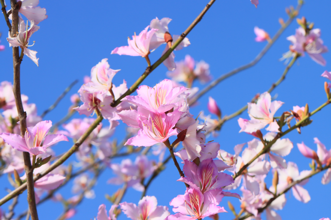 Weixin Image_2026-03-02_111358_054