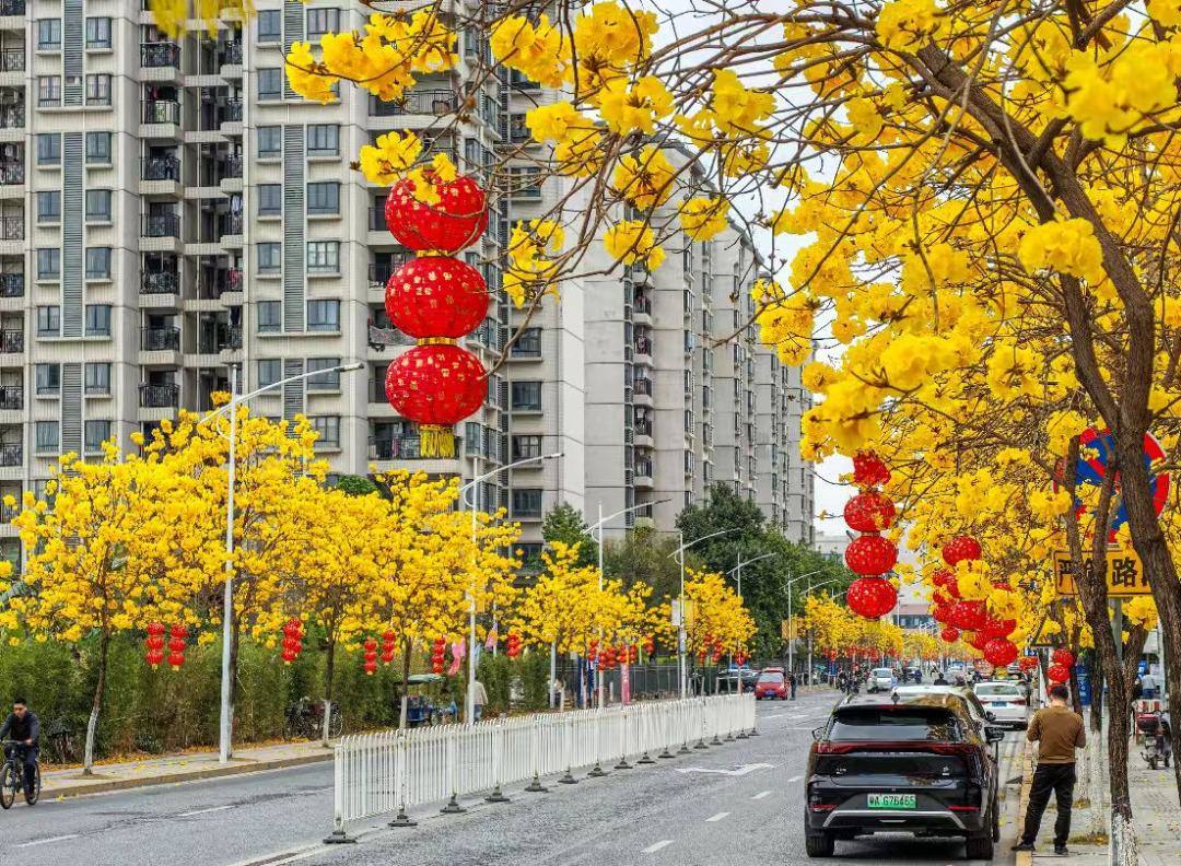 85cafaa6012e702a5c767810f04134ce