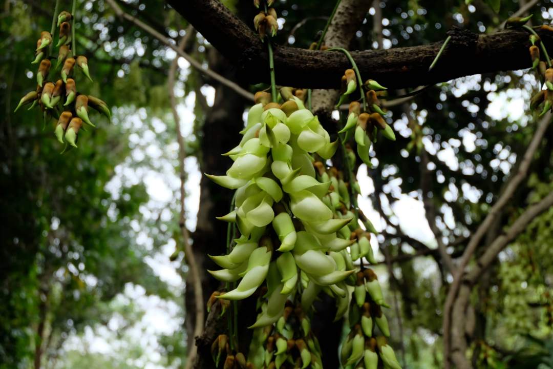 1772701260617217_1772701261008_586773091898856