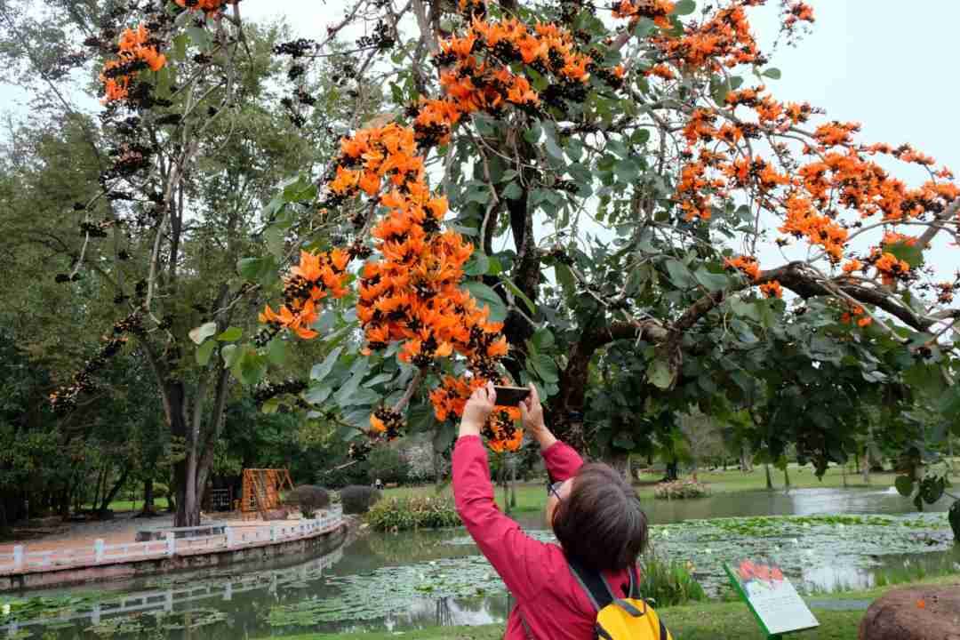 1772701446277616_1772701446757_586953130691131