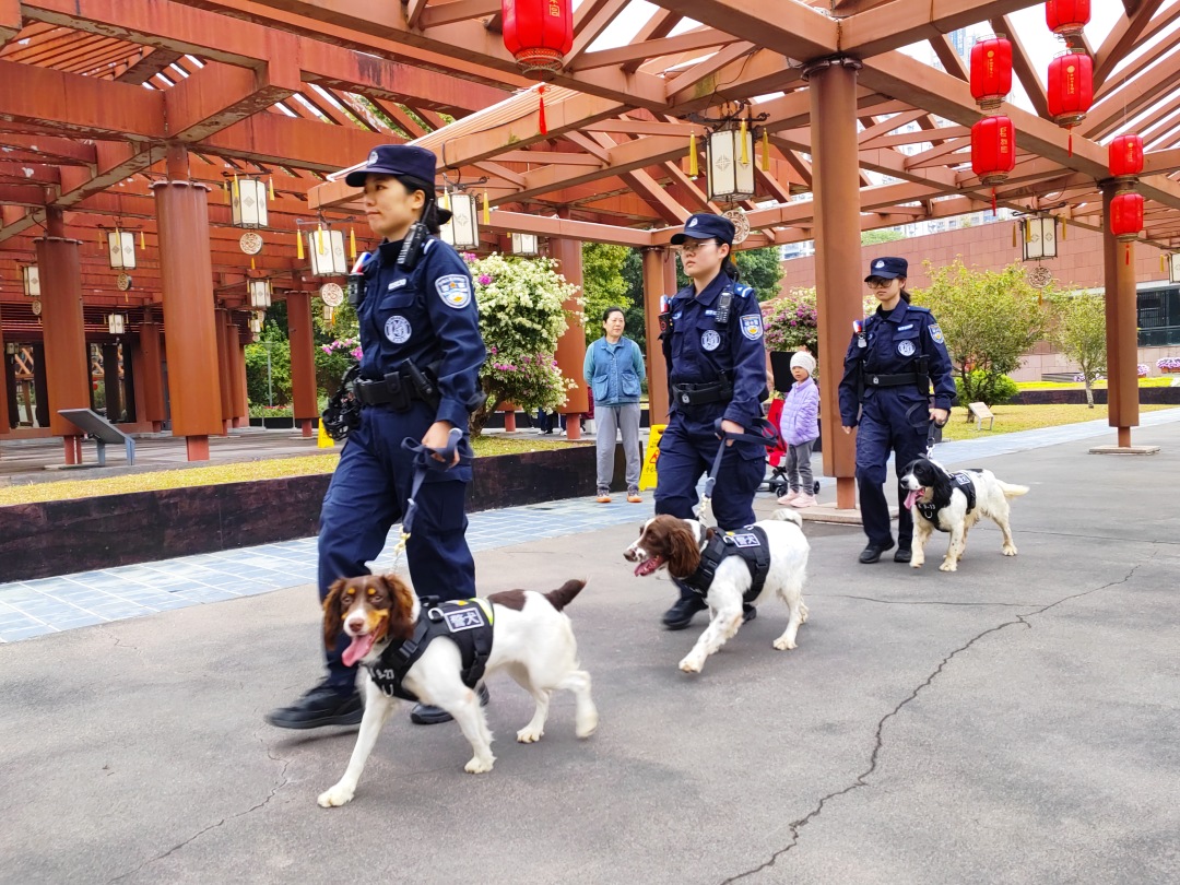 警犬队1