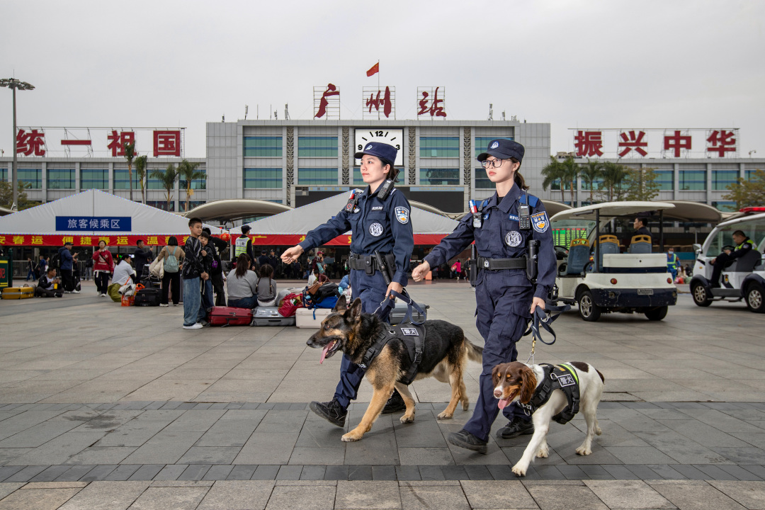 警犬队5