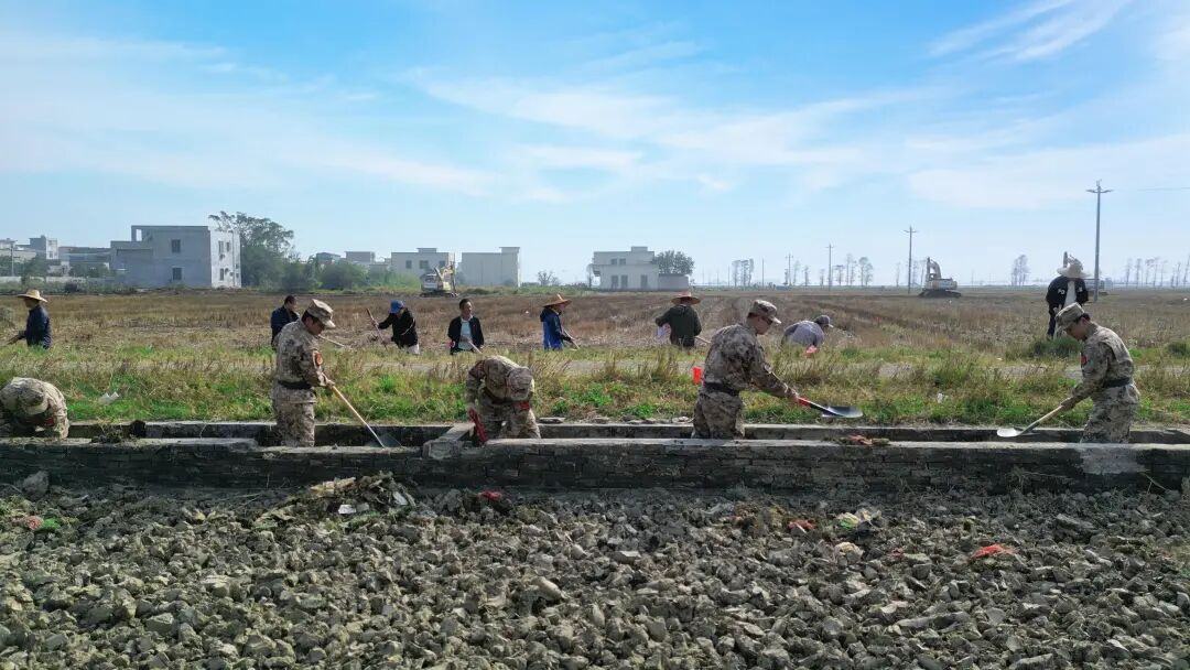 湛江市雷州市附城镇南田村,民兵、返乡大学生、村民和志愿者挥锹清淤