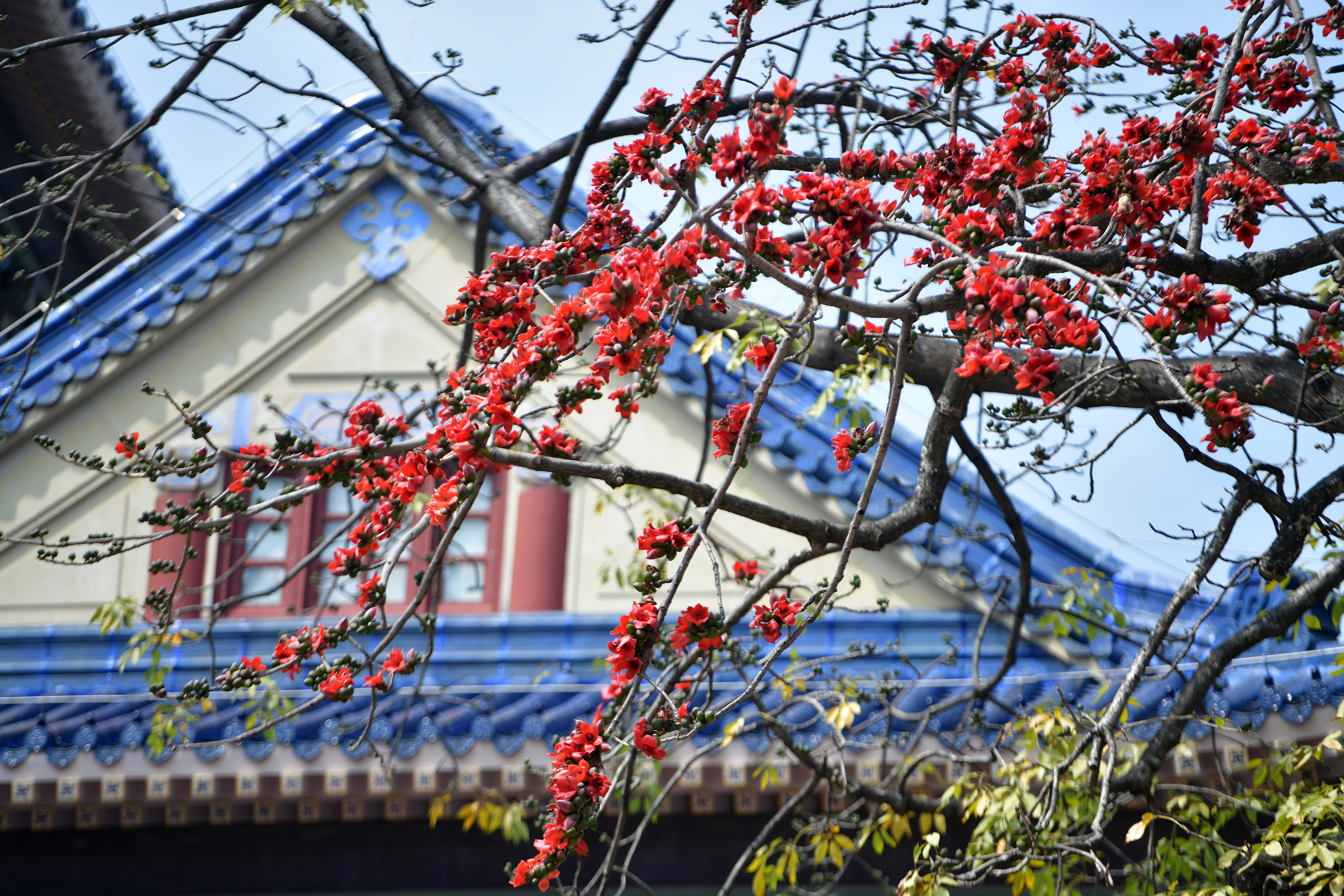 请输入图片描述