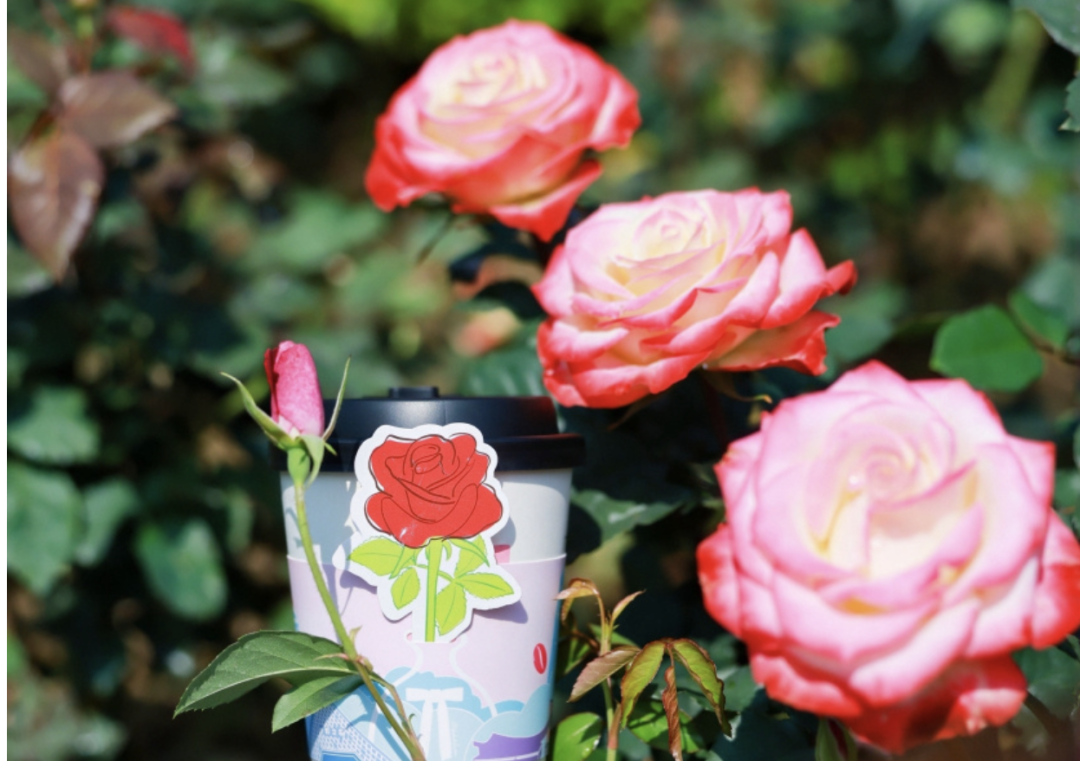 截屏2026-03-10 上午7.17.49