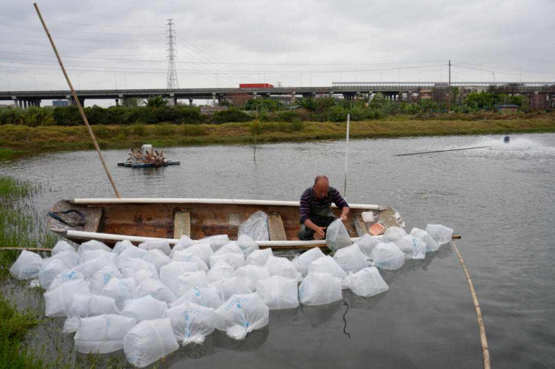 ScreenShot_2026-03-11_082500_096