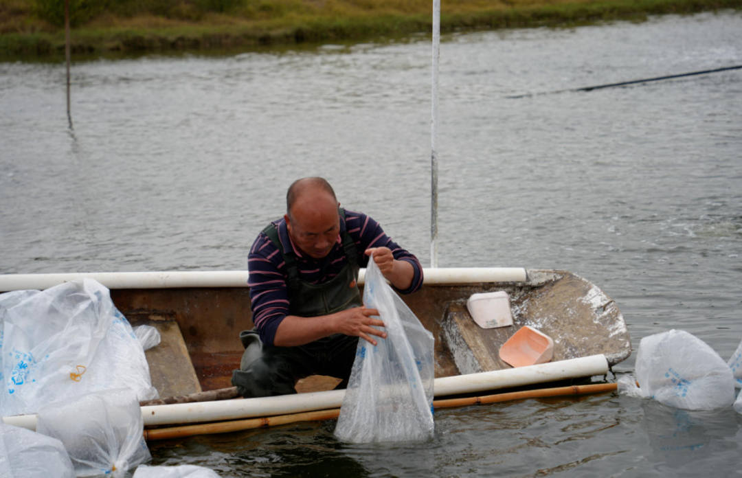 ScreenShot_2026-03-11_082604_493