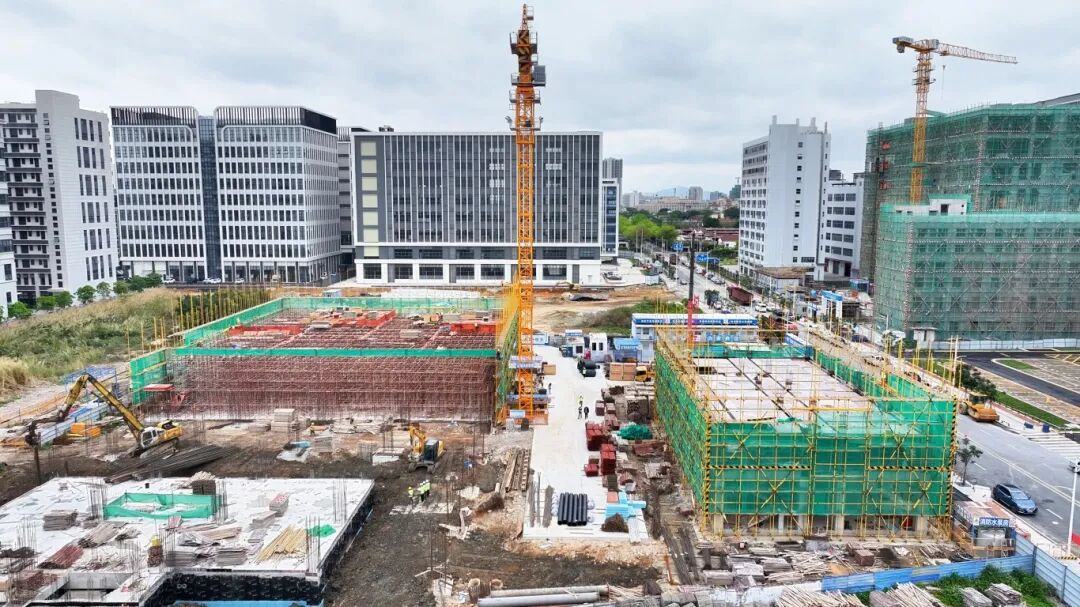 微信图片_2026-03-11_121507_979