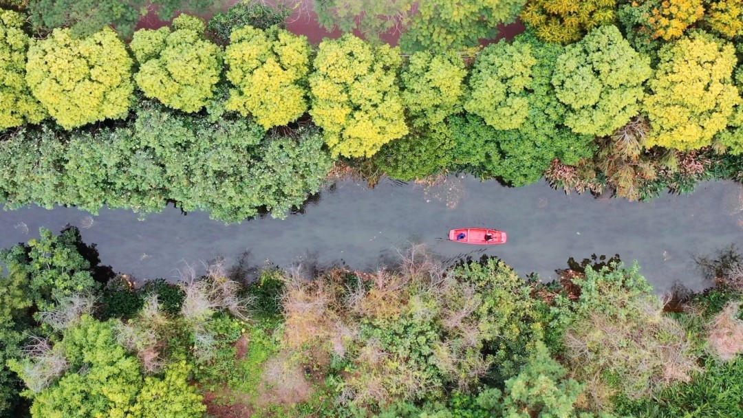 东莞燕岭湿地再生水补水河道