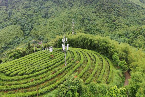 微信图片_20260311165019_355_866