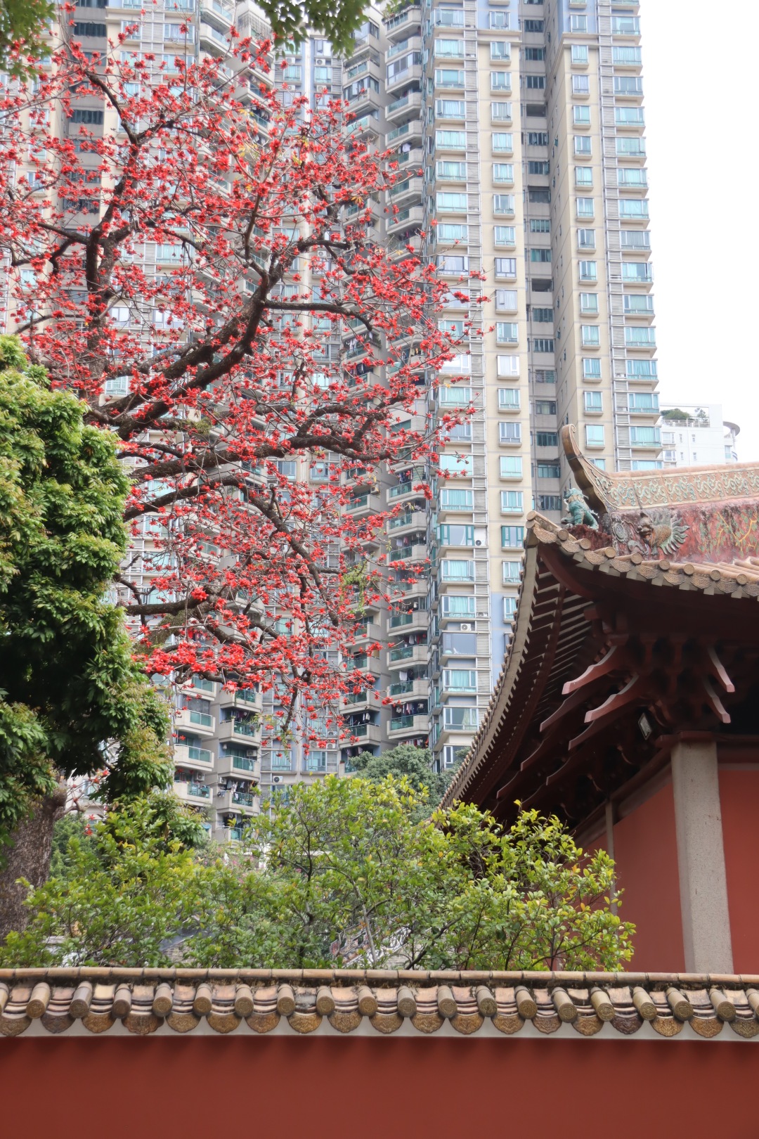 微信图片_20260312152423_51_364