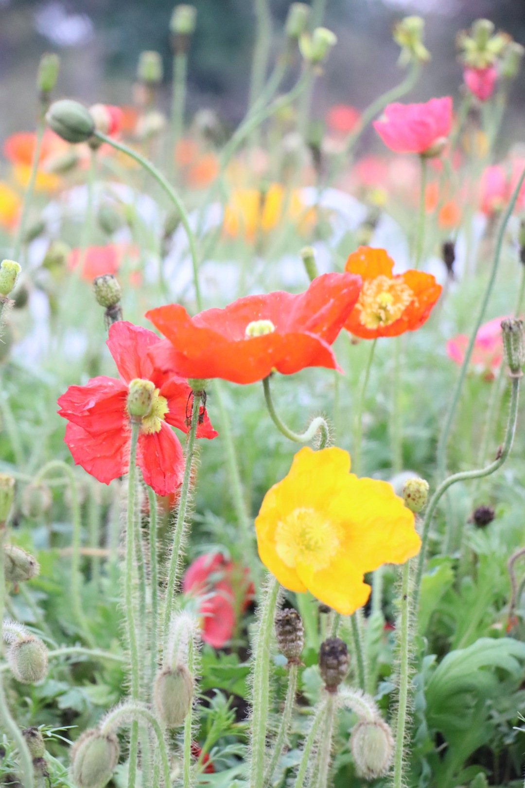 微信图片_20260312152429_54_364