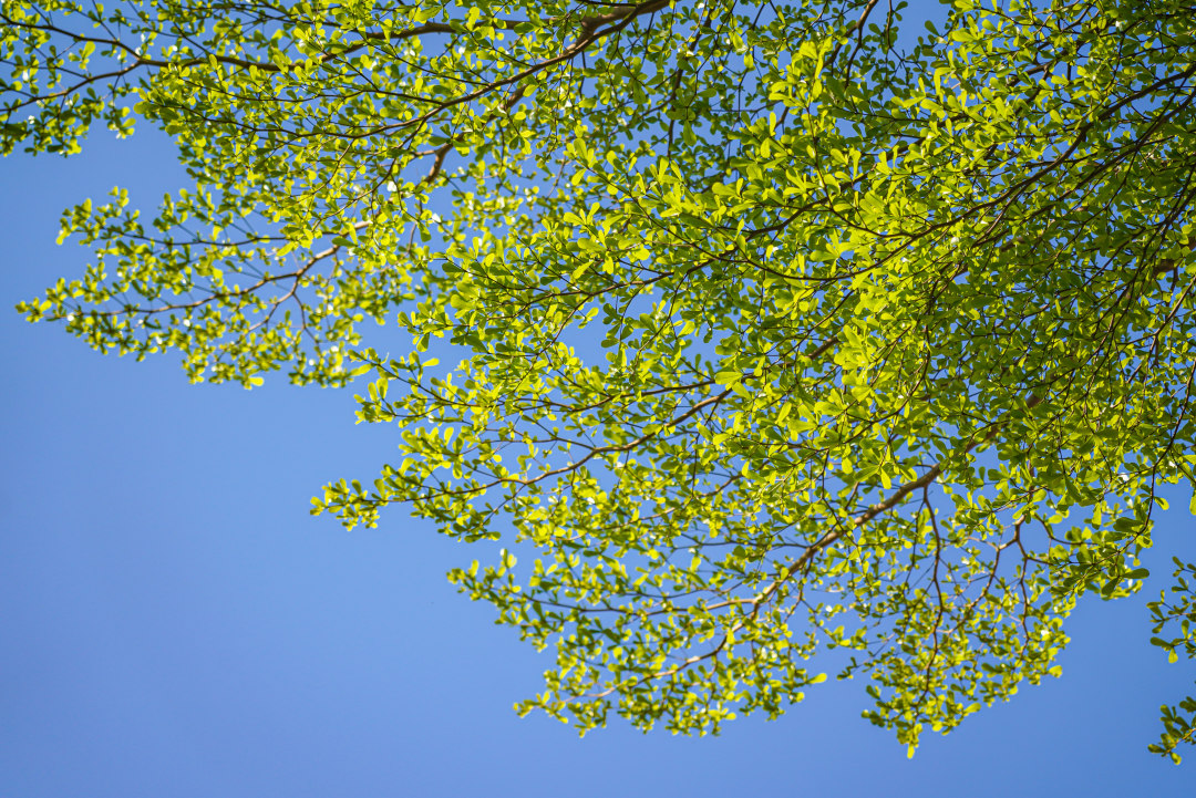 3ed70b7074194ddc91a873ddd25cc326