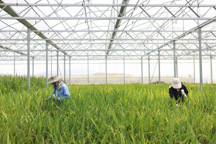 习近平总书记同人大代表、政协委员共商国是纪实_fororder_4
