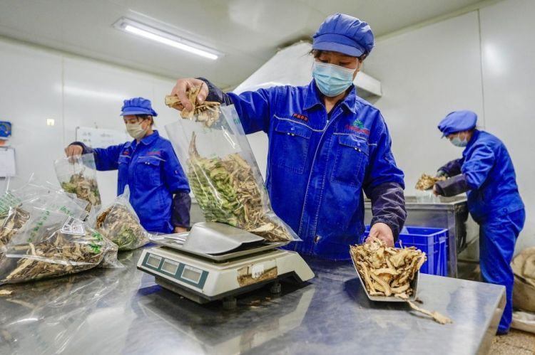 习近平总书记同人大代表、政协委员共商国是纪实_fororder_6